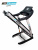 Беговая дорожка Zippy SLF 420 Беговая дорожка Zippy SLF 420